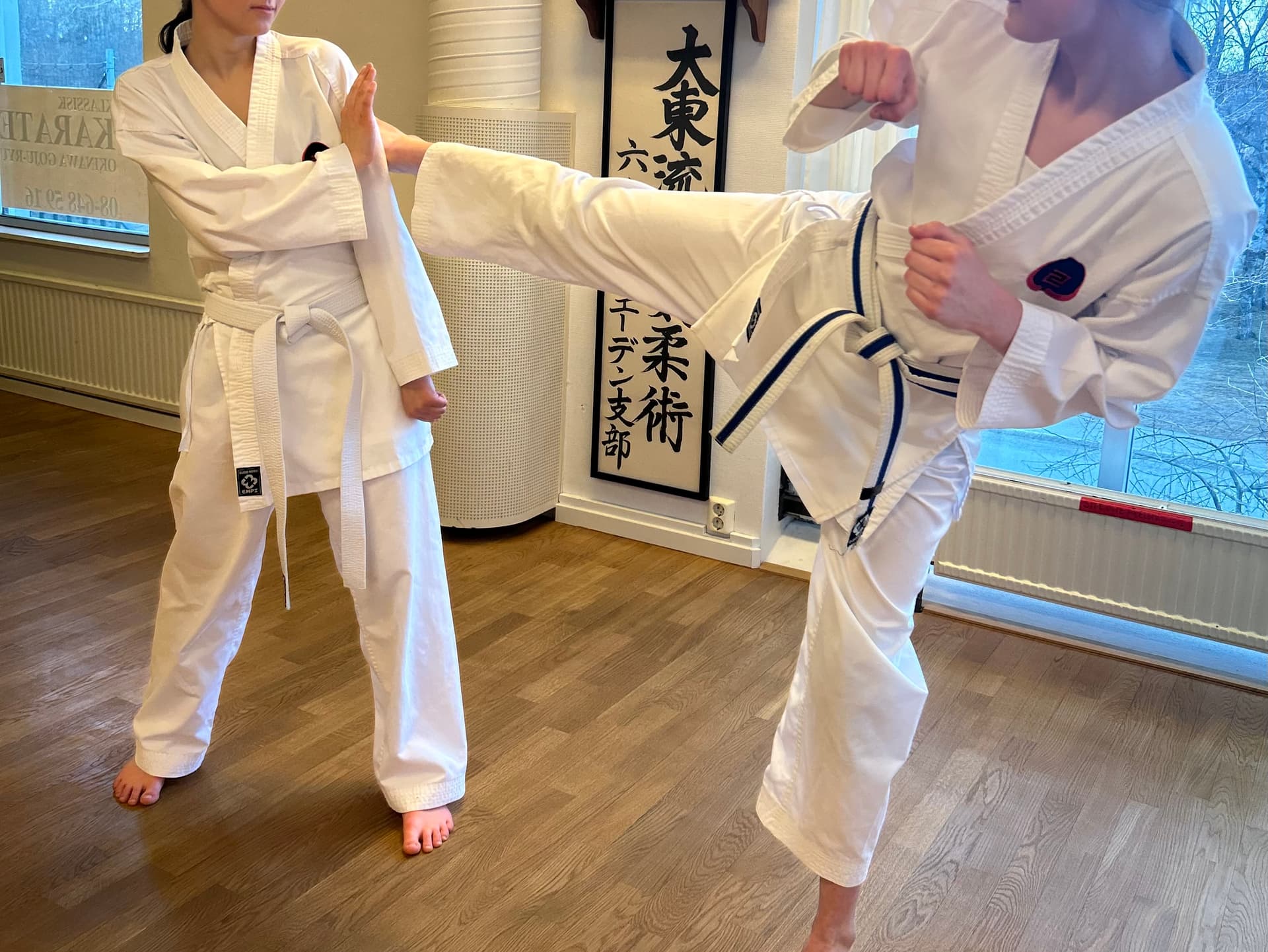 Självförsvar för tjejer/kvinnor - Provträningspass, 29/5 18.00-20.00 